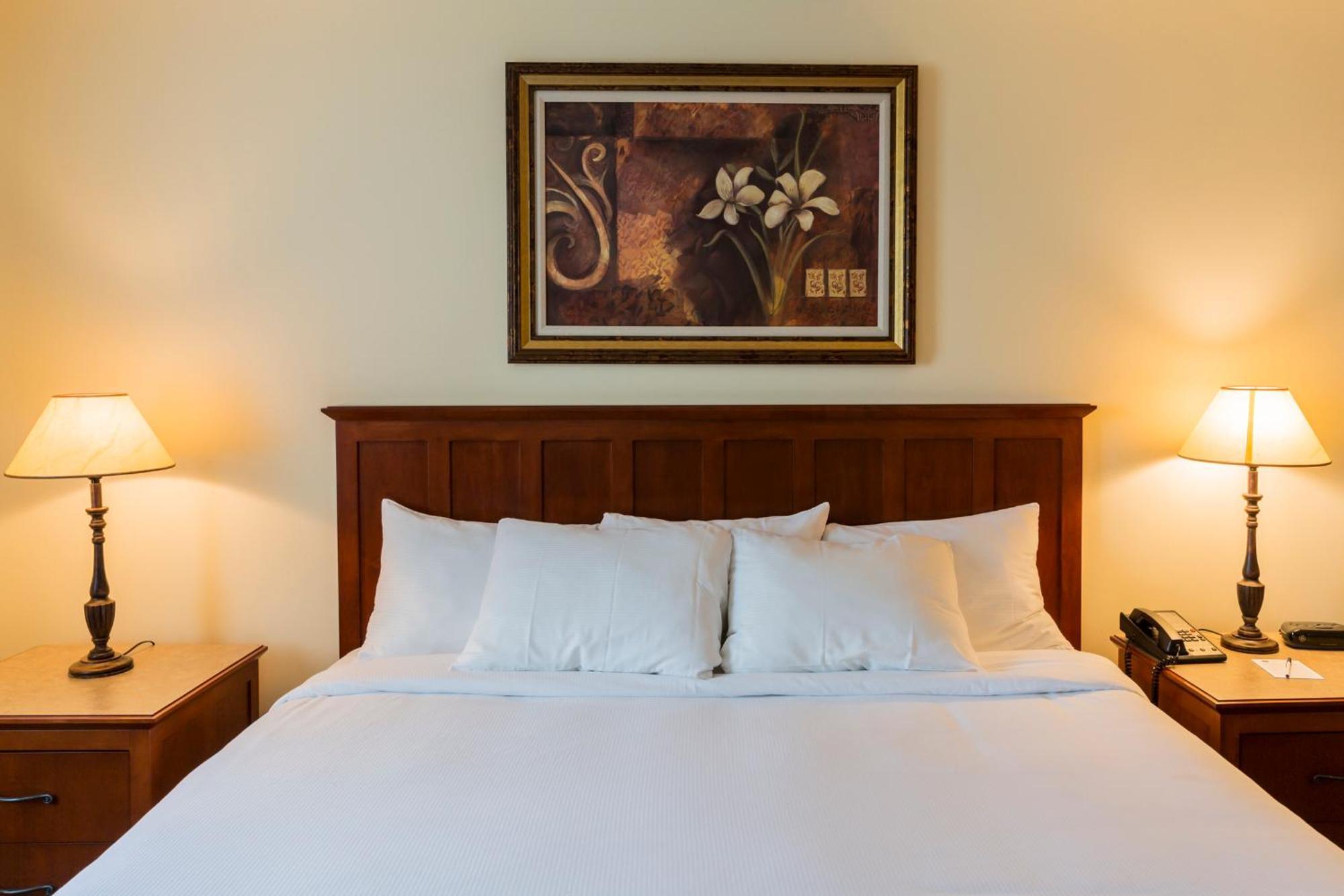 Hotel St-Bernard Saint-Bernard-de-Lacolle Ngoại thất bức ảnh